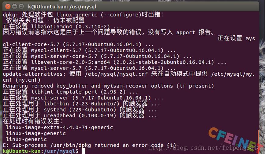 Ubuntu下mysql与mysql workbench安装教程-飞网